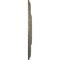 Ekena Millwork Raynor Ceiling Medallion (Fits Canopies up to 6"), 20 5/8"OD x 1 3/8"P, Witch Hazel Crackle CM20BEWHC - alternate 2